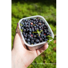IQF Freezing Organic Blueberry -160002